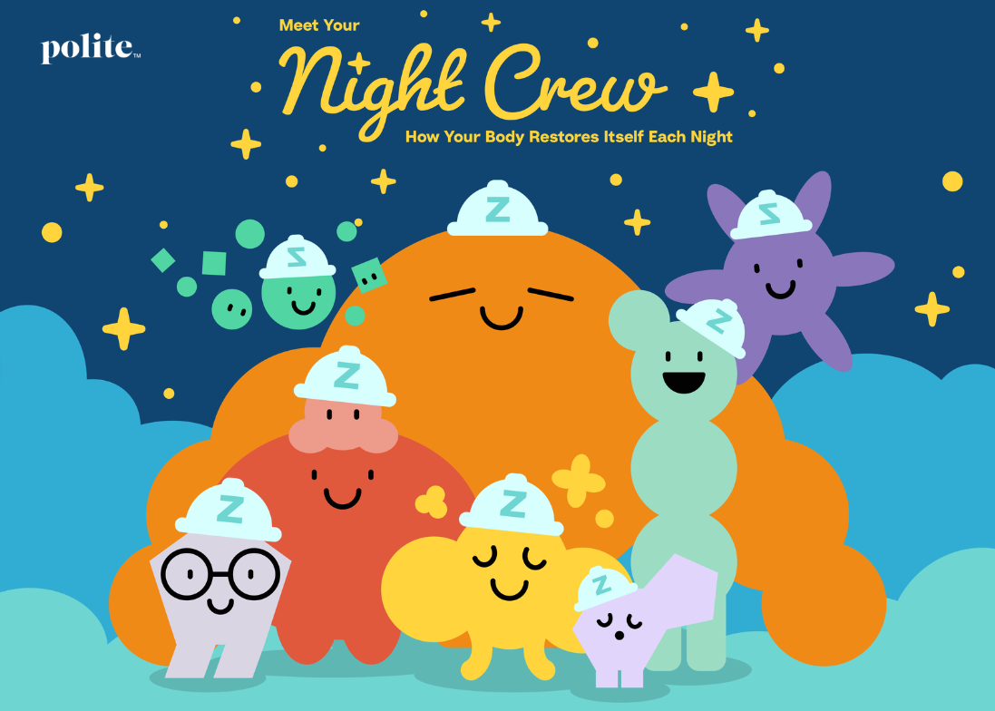 Meet Your Night Crew: How Your Body Restores Itself Each Night
