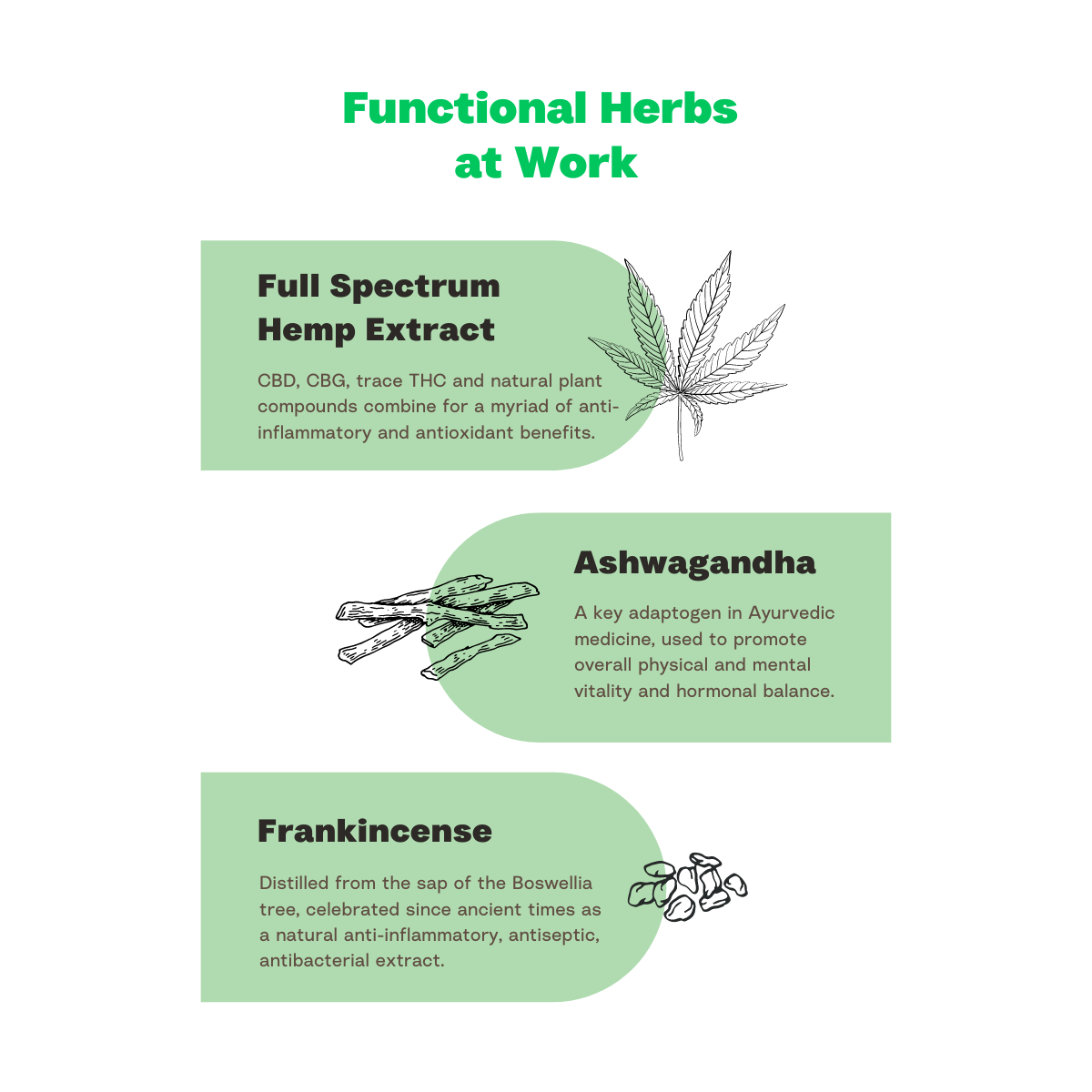 Stay Polite Hemp Daily Defense Oil Drops ingredients