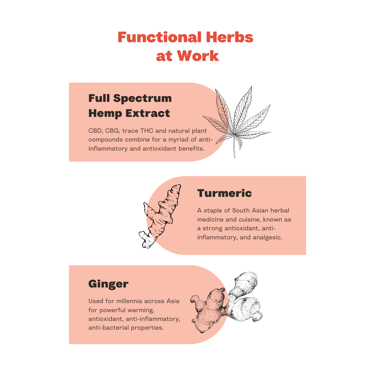 Polite Hemp Relief Aid CBD CBG Oil Drop Tincture Ingredients