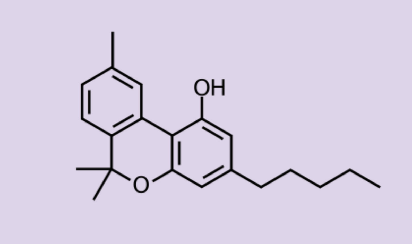 Stay Polite Hemp Rest Well CBN